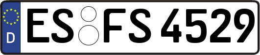 ES-FS4529