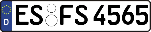 ES-FS4565