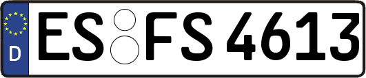 ES-FS4613