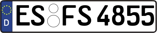 ES-FS4855