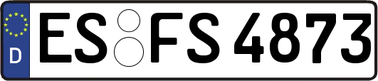 ES-FS4873