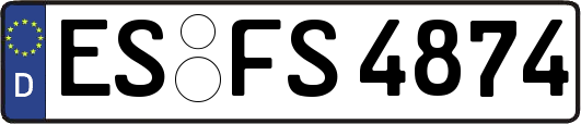 ES-FS4874