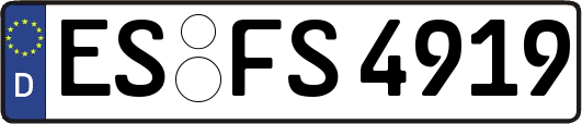 ES-FS4919