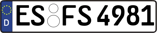 ES-FS4981