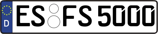 ES-FS5000