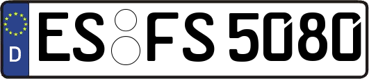 ES-FS5080
