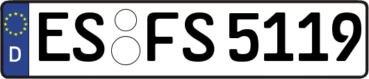 ES-FS5119