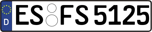 ES-FS5125