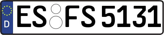ES-FS5131