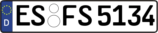 ES-FS5134