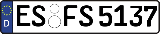 ES-FS5137