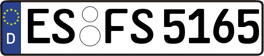 ES-FS5165