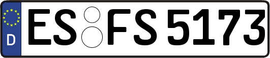 ES-FS5173