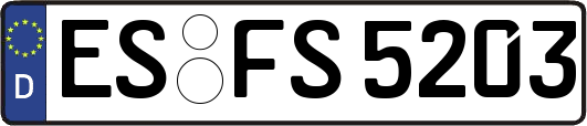 ES-FS5203