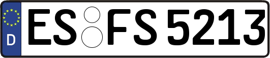 ES-FS5213