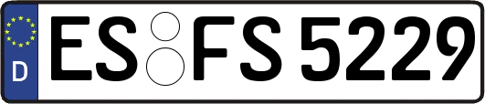 ES-FS5229