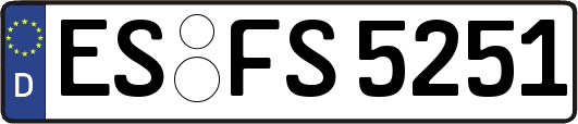 ES-FS5251