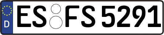ES-FS5291