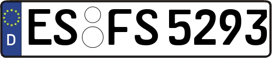 ES-FS5293