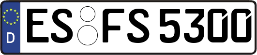 ES-FS5300
