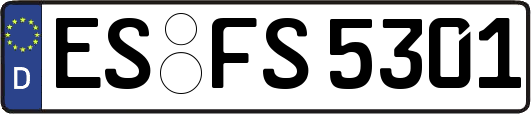 ES-FS5301