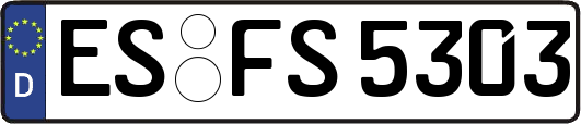 ES-FS5303