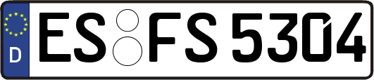 ES-FS5304