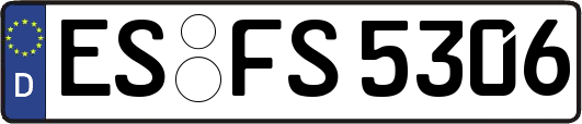 ES-FS5306