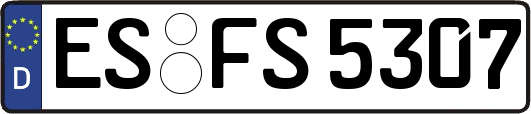 ES-FS5307