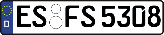 ES-FS5308