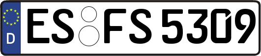 ES-FS5309