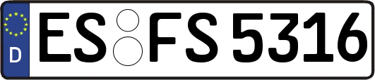 ES-FS5316