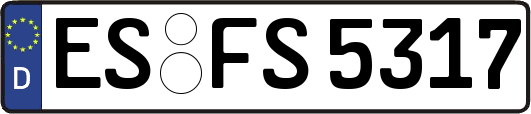 ES-FS5317