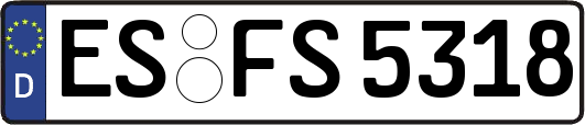 ES-FS5318