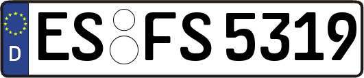 ES-FS5319