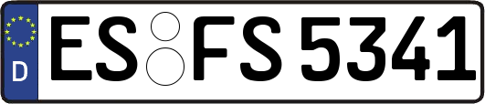 ES-FS5341