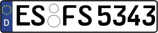 ES-FS5343