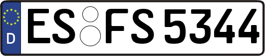 ES-FS5344