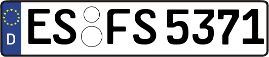 ES-FS5371