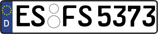 ES-FS5373