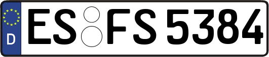 ES-FS5384