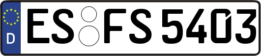 ES-FS5403