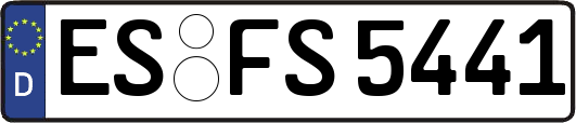 ES-FS5441