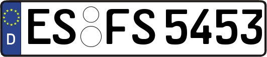 ES-FS5453