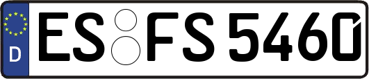 ES-FS5460