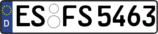 ES-FS5463