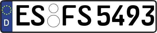 ES-FS5493