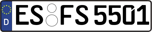 ES-FS5501
