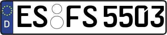 ES-FS5503