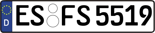 ES-FS5519
